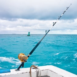 Naples Fishing Charters