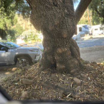 Glen Eden Sun Club - Nudist Near Me - Temescal Valley, California Glen Eden Sun Club - Nudist Near Me - Temescal Valley, California