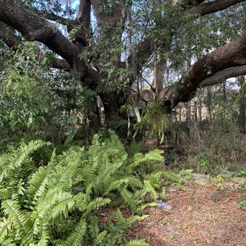 Cindy’s Secret Place - Nurseries & Gardening Near Me - Dade City, Florida