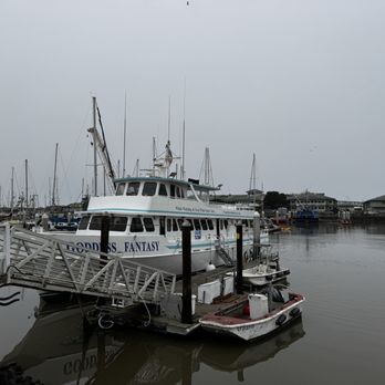 Sea Goddess Whale Watching - Whale Watching Tours Near Me - Moss Landing, California Sea Goddess Whale Watching - Whale Watching Tours Near Me - Moss Landing, California
