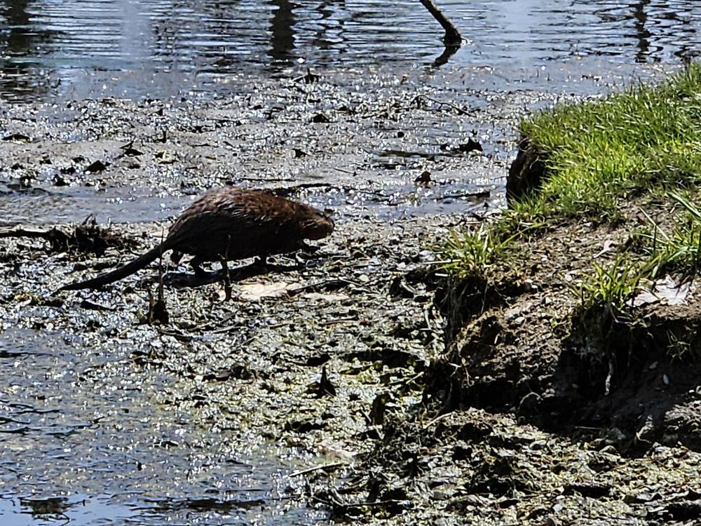Blackstone River & Canal State Park Image
