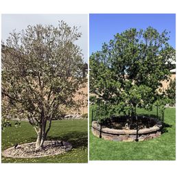 Before and after Before and after