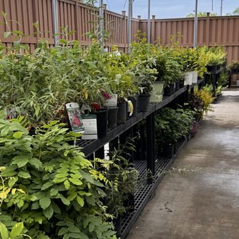Sutherlands - Other plants and vegetable items for your garden - Hardware Stores Near Me - Liberty, Missouri