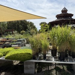 Every Bloomin Thing - Grasses, ground covers, and perennials.