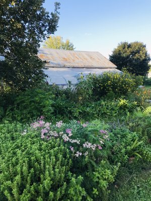 Borner Farm Project by null