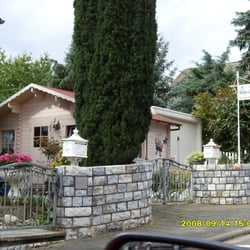 ML Deco - Laube