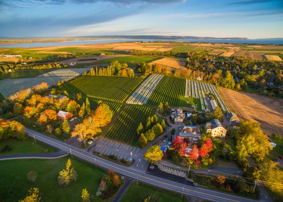 Domaine de Grand Pré by null