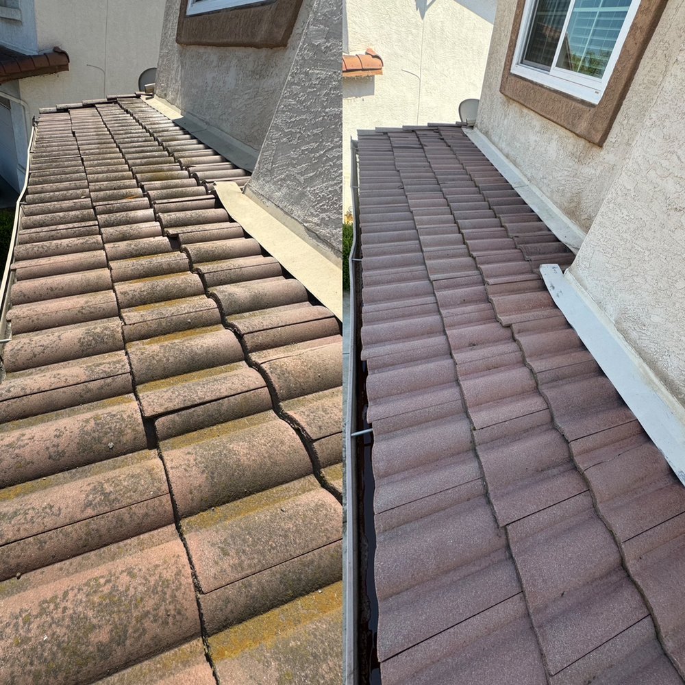 Slide of Curbside Softwash