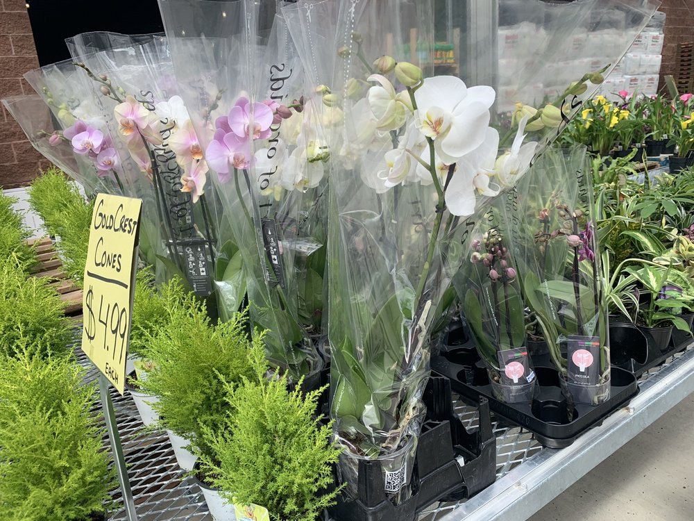 NIAGARA PRODUCE OF ELMA 3131 Transit Rd, Elma, NY Yelp