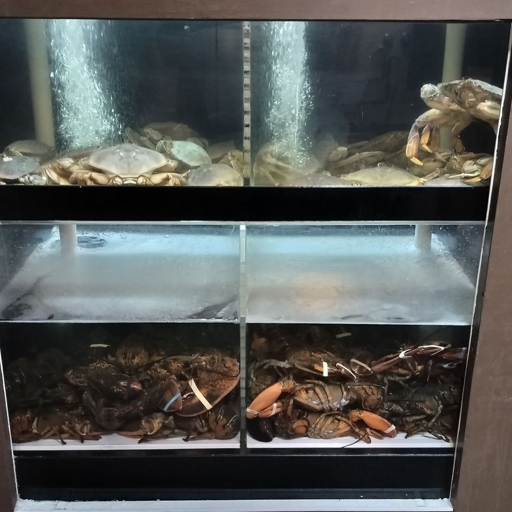 Angry Crab Shack - Live crab and lobster - Seafood Near Me - Henderson, Nevada Angry Crab Shack - Live crab and lobster - Seafood Near Me - Henderson, Nevada