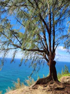 Ha'ena State Park by null