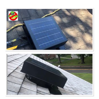 Mold Busters - Home Inspectors Near Me