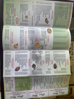 Menu photo 2 China Wok Riviera Beach, FL