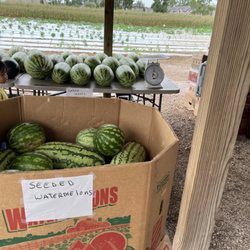 Grants Farm Produce - Huge watermelons!
