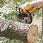 Photo of Jack's Tree Service