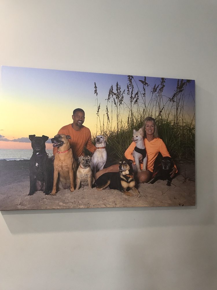 PAWPRINTS OF VERO BEACH 27 Photos & 30 Reviews 7900 12th St, Vero