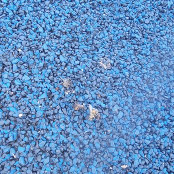 Alhambra Park - Dead bees everywhere. - Parks Near Me - Alhambra, California