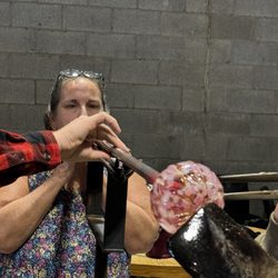 Hands-On Glass Studio - Glass blowing.