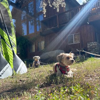 June Lake RV Park - Our dogs love it here! - RV Parks Near Me - June Lake, California June Lake RV Park - Our dogs love it here! - RV Parks Near Me - June Lake, California