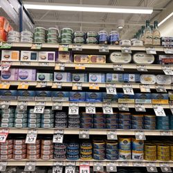 Sprouts Farmers Market - Nice selection of canned (sustainably caught) wild tuna (lower mercury levels), cleaned sardines and various smoked oysters.