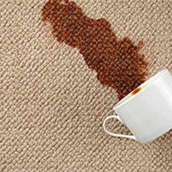 Organic Carpet Care - Carpet Cleaning Near Me - Austin, Texas Organic Carpet Care - Carpet Cleaning Near Me - Austin, Texas