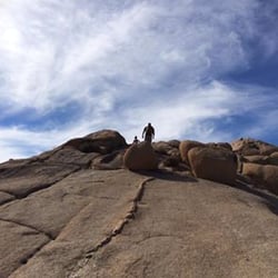 29 Trail Tours