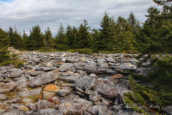 Spruce Knob by null
