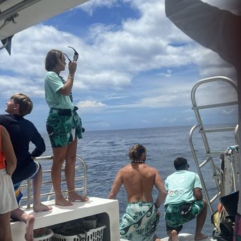 Dolphins and You - Boat Charters Near Me - Honolulu, Hawaii Dolphins and You - Boat Charters Near Me - Honolulu, Hawaii