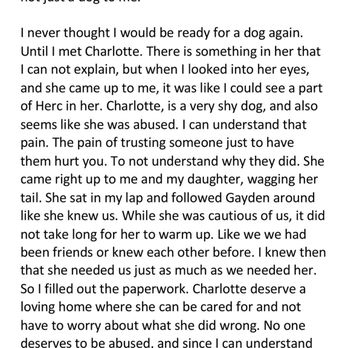 Safe Place For Animals - Page 3 - Veterinarians Near Me - Gallatin, Tennessee Safe Place For Animals - Page 3 - Veterinarians Near Me - Gallatin, Tennessee