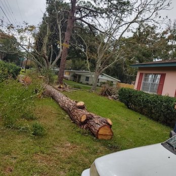 JT's Top Notch Tree - Tree Services Near Me