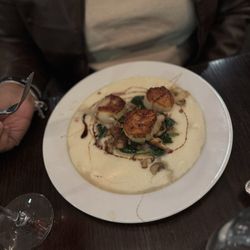 District - Jumbo Sea Scallop