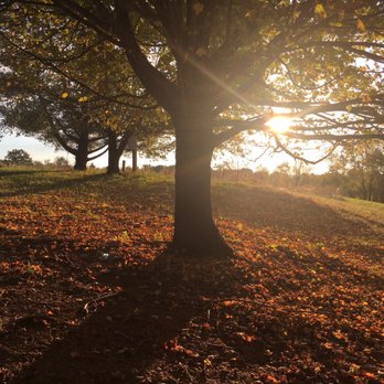 Sharp Rock Vineyards & Cottages - Wineries Near Me - Sperryville, Virginia