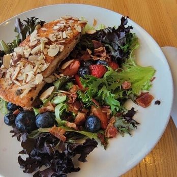 Katz's - Grilled salmon salad - Delis Near Me - Houston, Texas