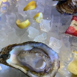 Oysters Oysters