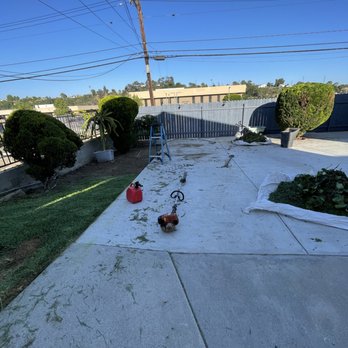 Salina’s Landscaping - Tree and shrub trimming - Landscaping Near Me Salina’s Landscaping - Tree and shrub trimming - Landscaping Near Me