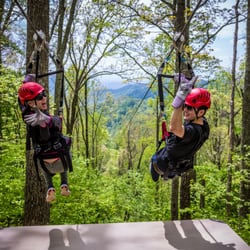 Navitat Canopy Adventures