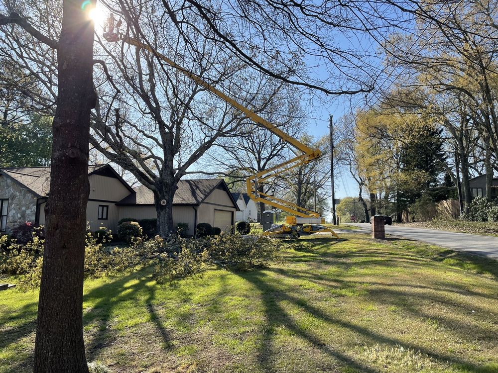 Timbertech - tree service in Greenville, SC
