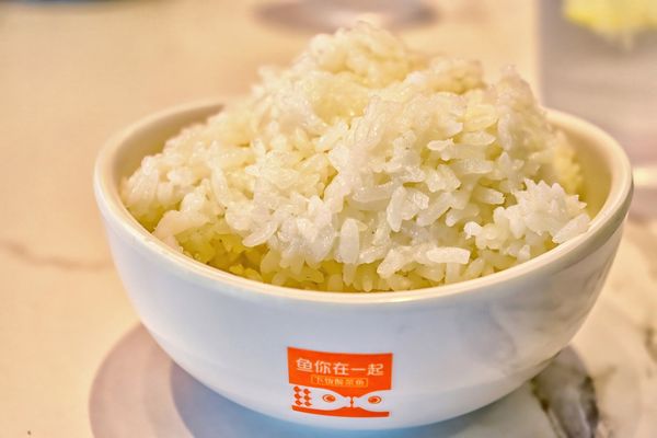 Fish With You 鱼你在一起 by null