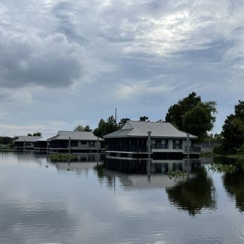 Ultimate Swamp Adventures - Tours Near Me - Westwego, Louisiana