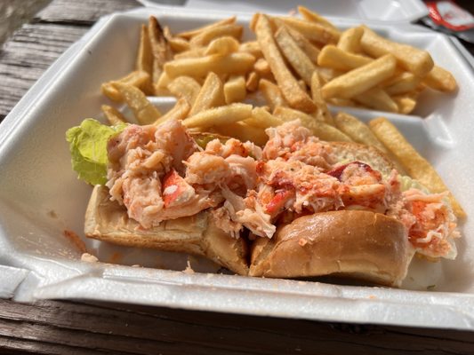 FLORIDA MANATEE FESTIVAL - Updated January 2025 - 26 Photos - Downtown