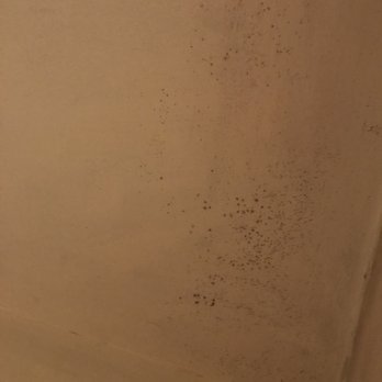 The Crest - Mold and mildew issues - Apartments Near Me - North Andover, Massachusetts The Crest - Mold and mildew issues - Apartments Near Me - North Andover, Massachusetts