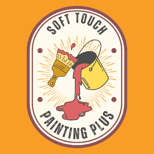 Slide of Soft Touch Painting Plus