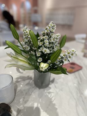 Candle Land Ft. Lauderdale by null