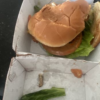 Chick-fil-A - Moth in my sandwich box - Fast Food Near Me - Ontario, California Chick-fil-A - Moth in my sandwich box - Fast Food Near Me - Ontario, California