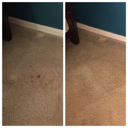 Sunshine Carpet & Rug Cleaning - WARNING! DO NOT USE! Check BBB prior to hire!
One of many "permanent" spots he left that I had to clean myself.
