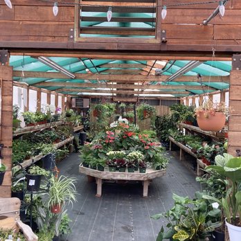 Yamaguchi Bonsai Nursery - Nurseries & Gardening Near Me - Los Angeles, California Yamaguchi Bonsai Nursery - Nurseries & Gardening Near Me - Los Angeles, California