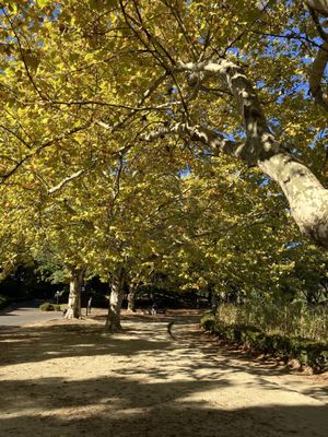 Showa Kinen Park by null