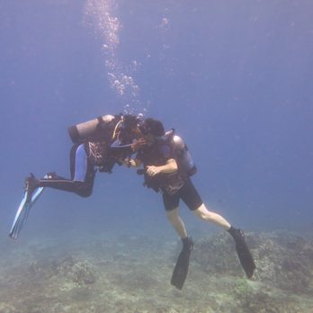 Banyan Tree Divers Maui - Scuba kiss - Scuba Diving Near Me - Lahaina, Hawaii Banyan Tree Divers Maui - Scuba kiss - Scuba Diving Near Me - Lahaina, Hawaii
