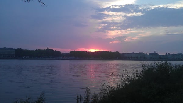 Parc aux Angéliques by null