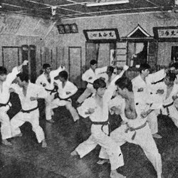 Shobu Karatedo